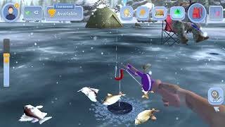 Learn about ice fishing gambling game